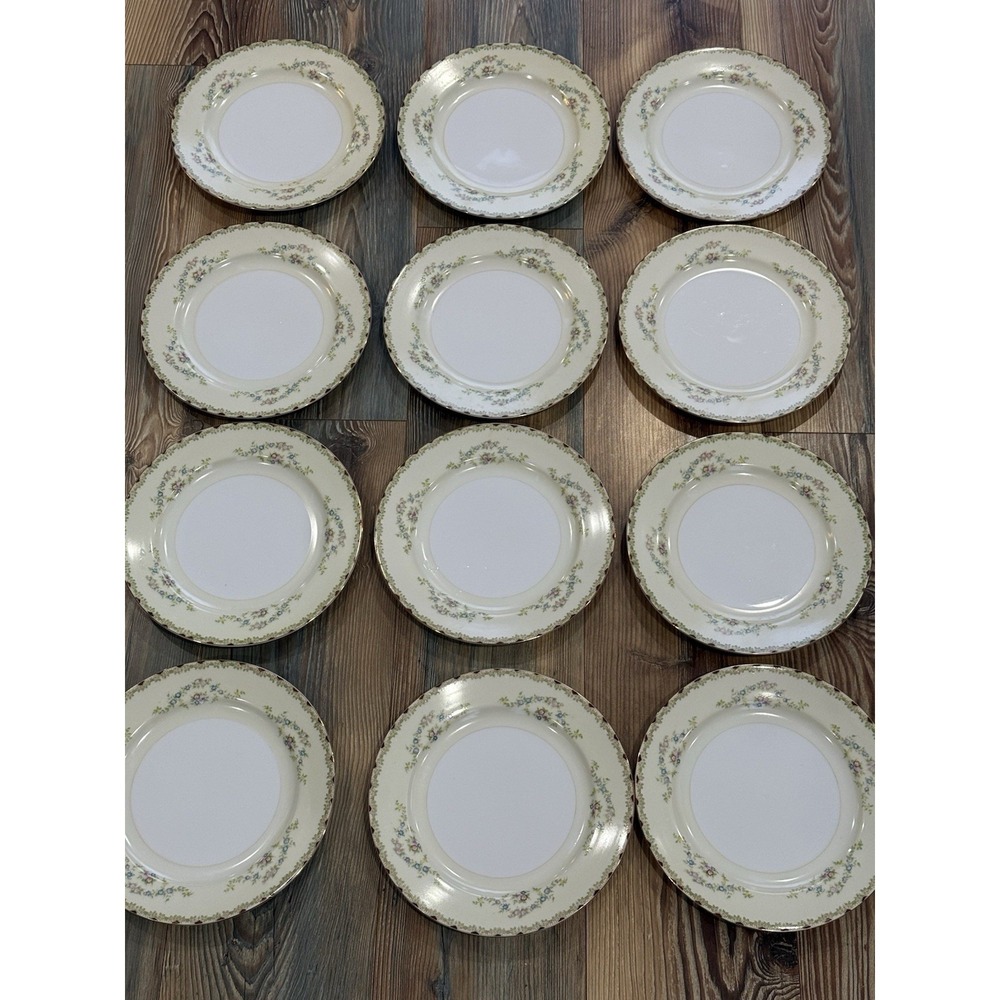 Vintage TRANSOR WARE TSW5 Dinner Plate Set of 12 Hard to Find Green + Red Border
